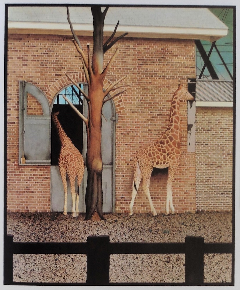 第35回「アンソニー・ブラウンの世界」 | 美しい驚き 泉谷淑夫の不思議