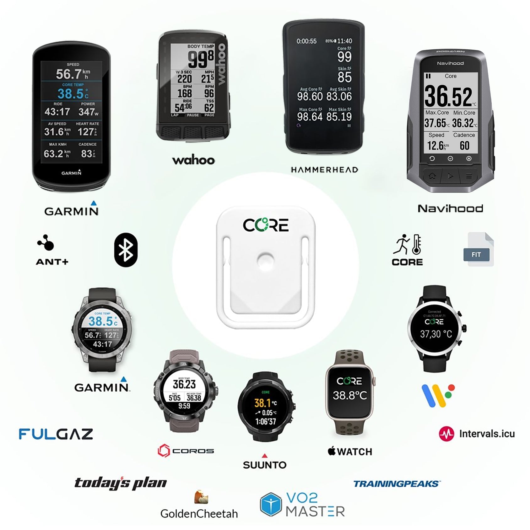 CORE 深部温度センサー – WINSPACE JAPAN
