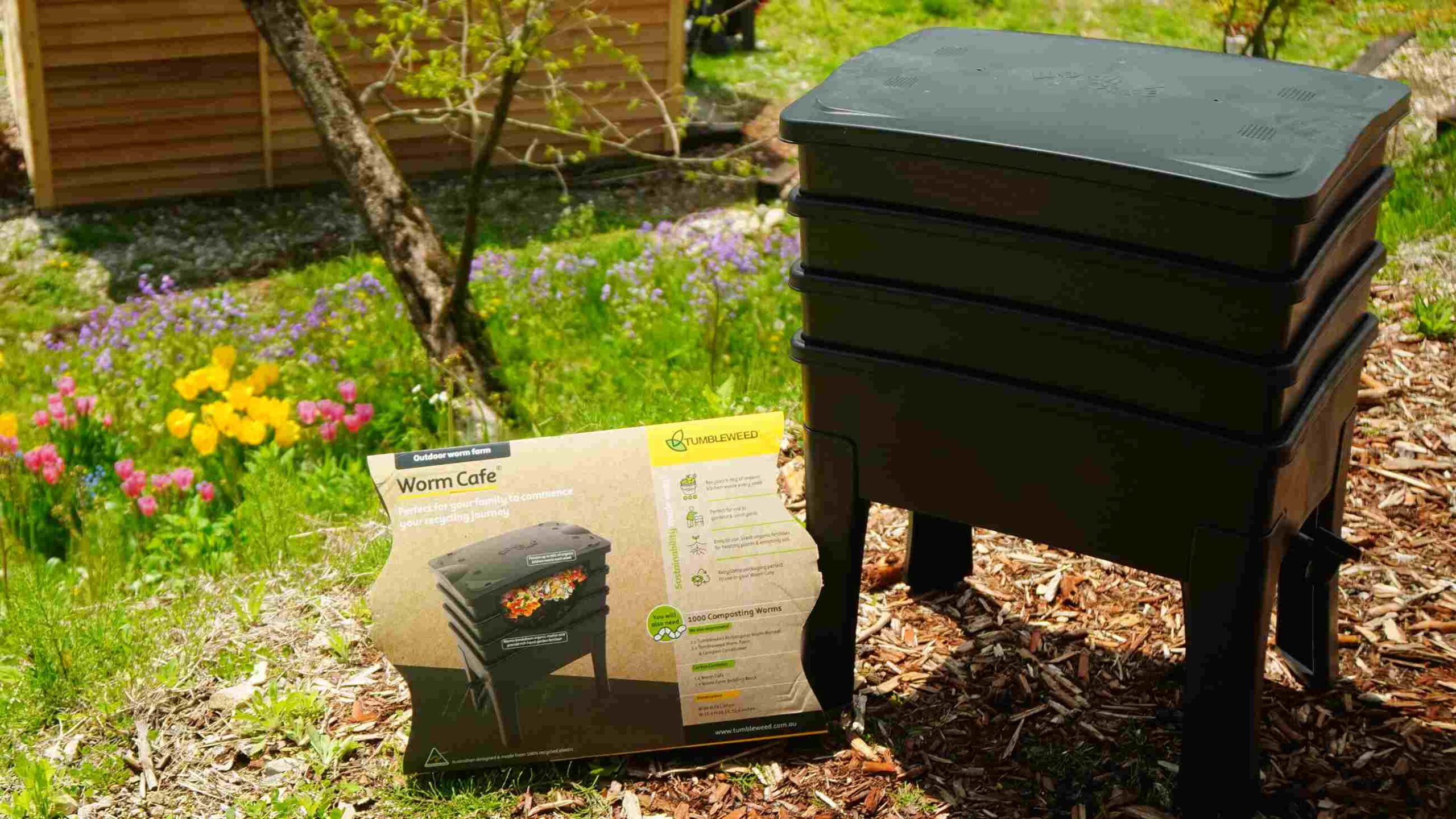 シマミミズさんに生ごみを食べてもらってサスティナブルな生活を送る