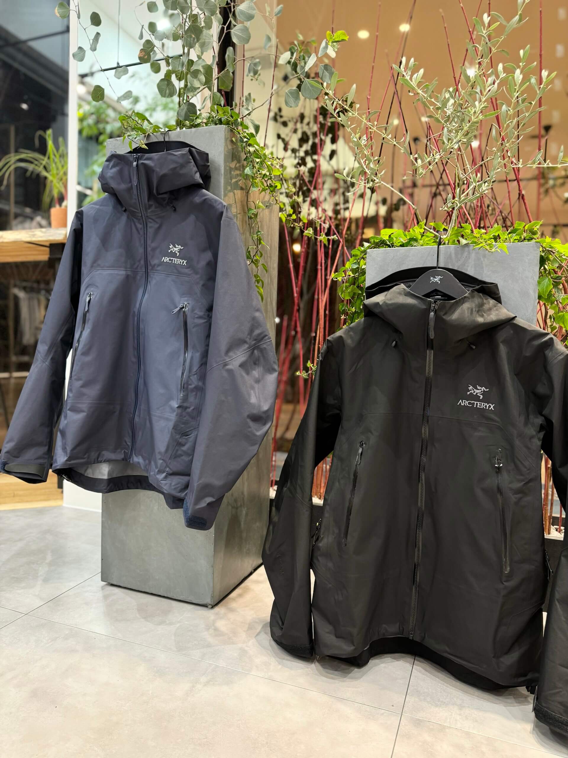 ARC'TERYX/ Beta AR Stormhood - W/