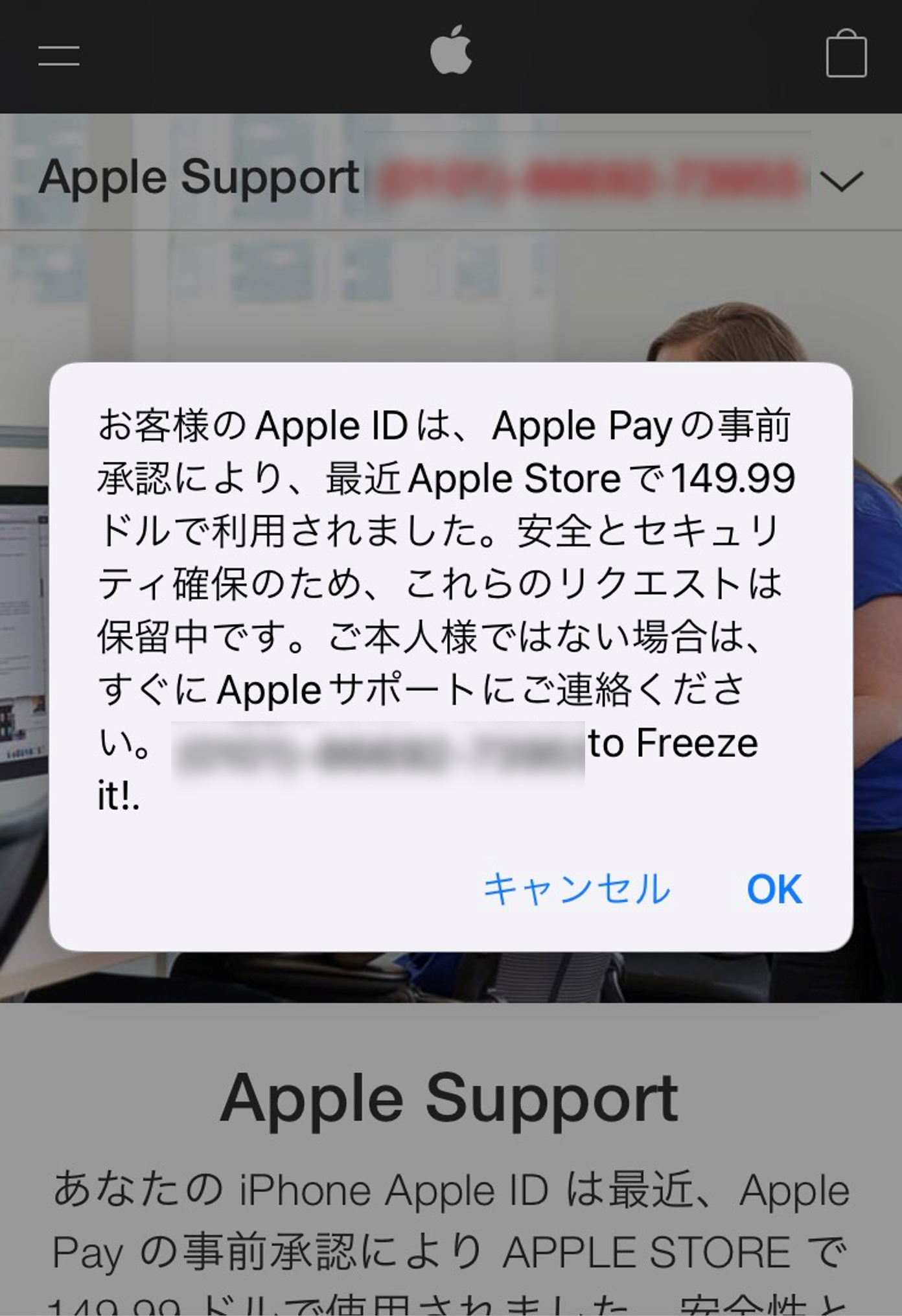 サポート詐欺サイトへのアクセス増加に伴う注意喚起 – wizSafe