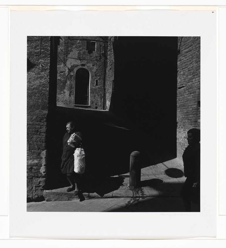 Harry Callahan | Whitney Museum of American Art