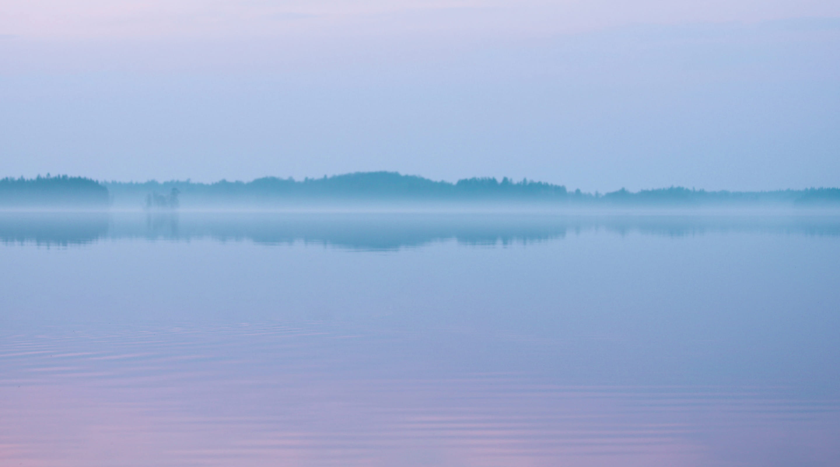 PRODUCTS ｜ WONDER&CO（ワンダーアンドコー） | コスメ化粧品販売