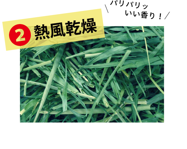 4種みっくす - 株式会社ウーリー｜うさぎの食彩工房