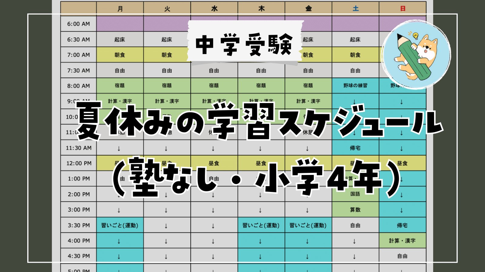 中学受験】夏休みの学習スケジュール(4年/塾なし) | ポチたま中学受験