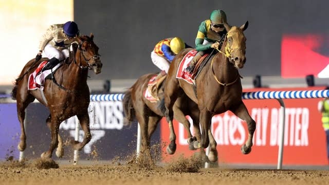 概要・過去成績 | 2024ドバイワールドカップ | JRA-VAN World - 海外