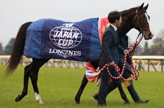 まねき馬倶楽部年度代表馬・世界一sp 2508イクイノックス