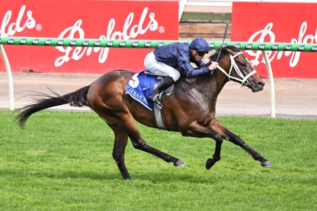 スイッツァランドが引退へ、クールモア・オーストラリアで種牡馬入り