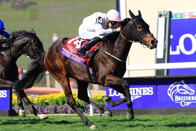 カランダガン（Calandagan） | 競馬データベース | JRA-VAN World