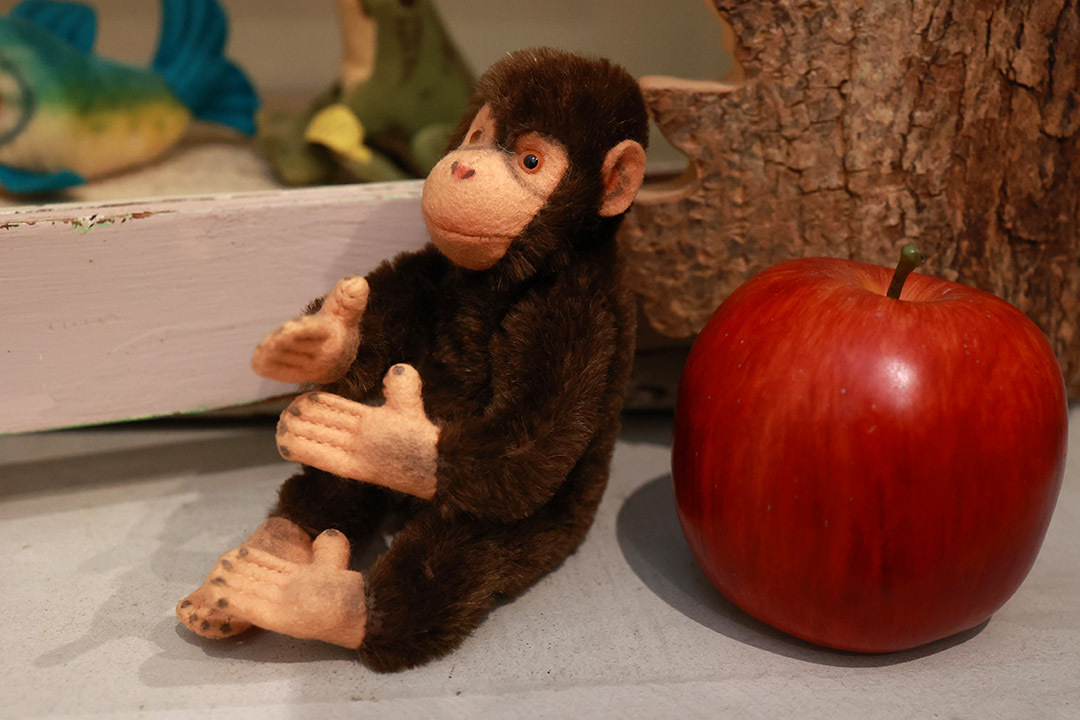 1960年代シュタイフ社のチンパンジー (Jocko)