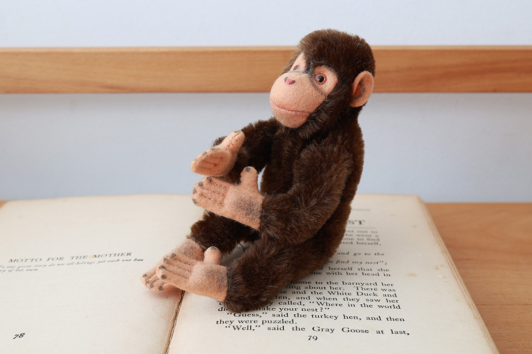 1960年代シュタイフ社のチンパンジー (Jocko)