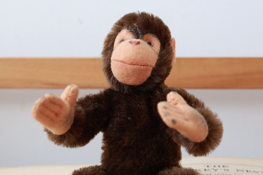 1960年代シュタイフ社のチンパンジー (Jocko)