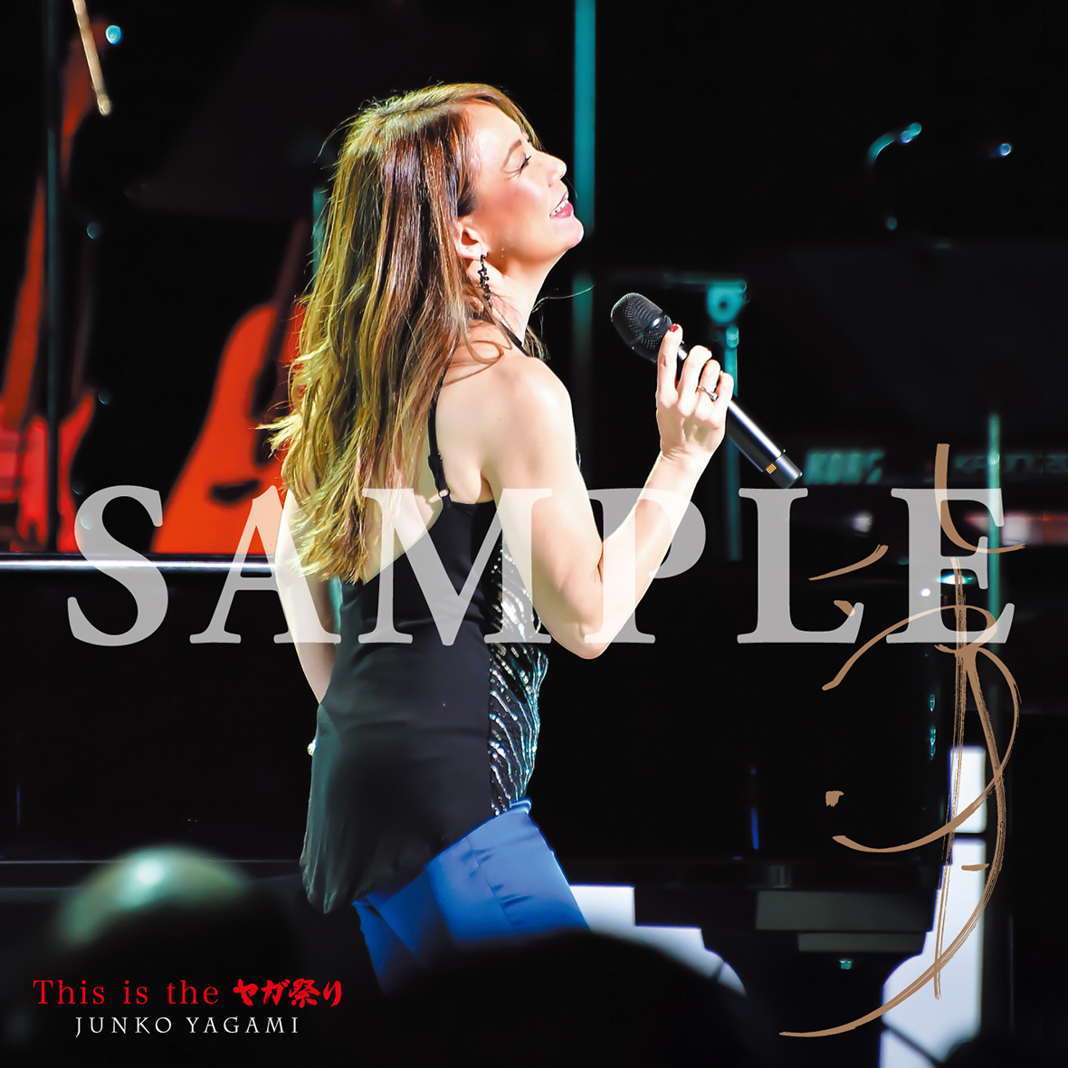 八神純子 This is the ヤガ祭り