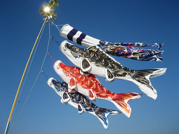 鯉のぼりスタンドセットが安い ～広島市の人形問屋十二段屋