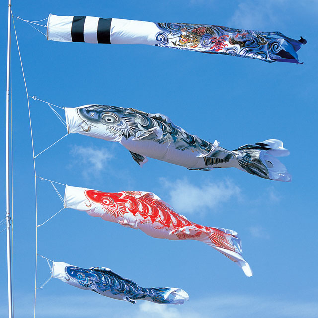 鯉のぼり 6m ※矢車、吹き流しなし 鯉のぼり 6m ※矢車、吹き流しなし