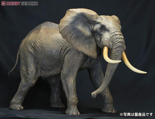 ホビーサーチブログ - 全長約45センチ！超メガ級のアフリカゾウフィギュア