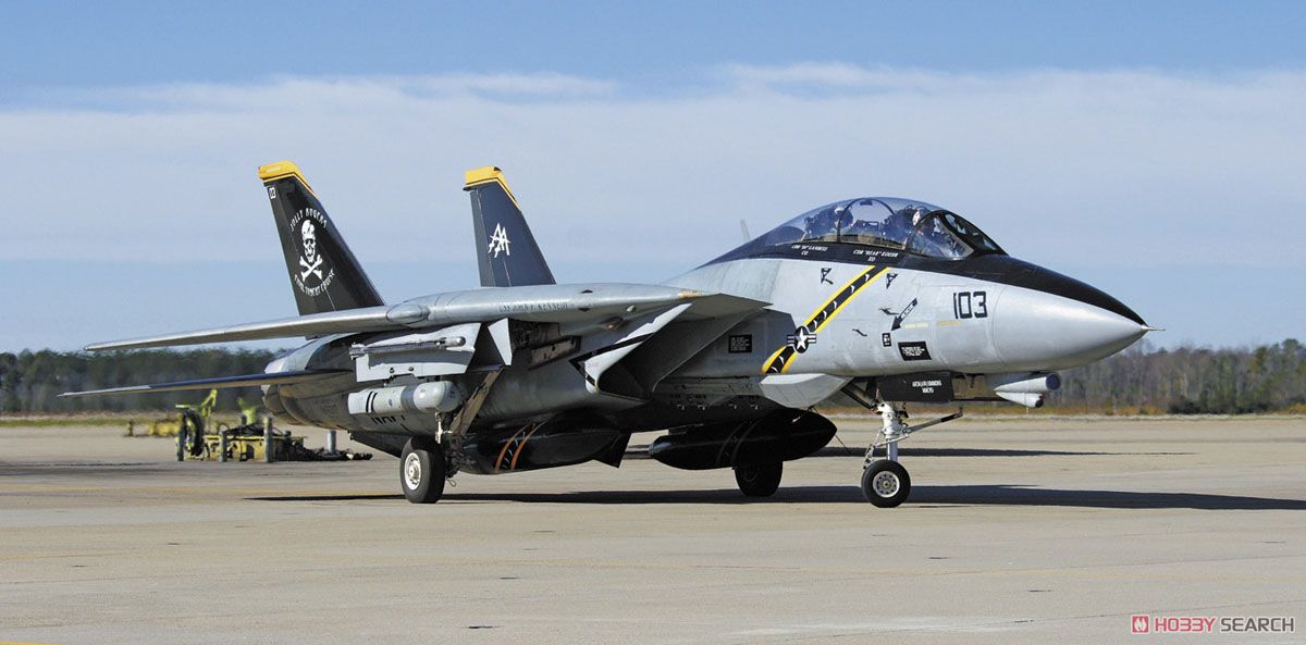 F-14A/B トムキャット `ジョリー ロジャース` (2機セット) (プラモデル