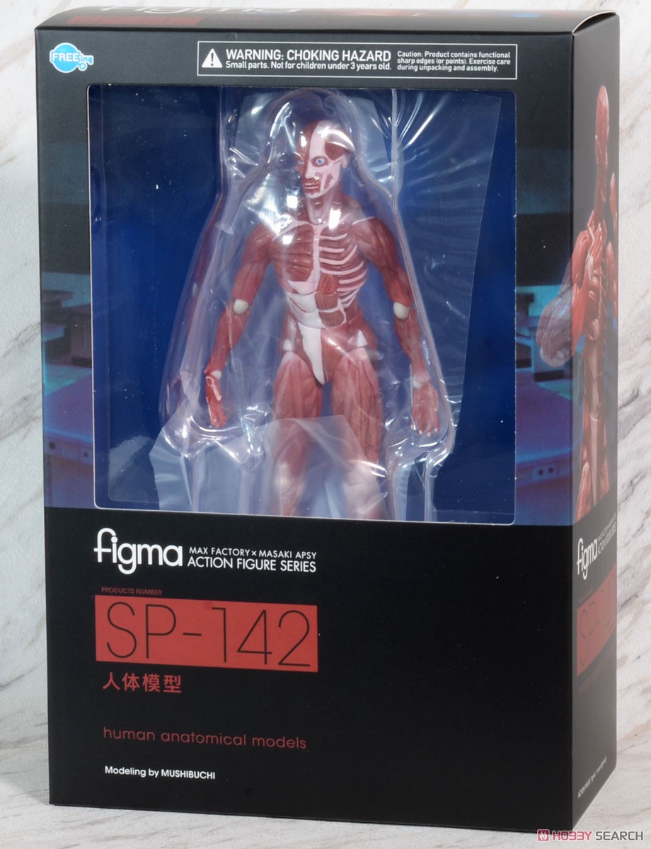 figma 人体模型 (フィギュア) - ホビーサーチ フィギュア