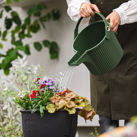 Jerry 鵜飼 ストレンジャー Watering the Garden garden-friends