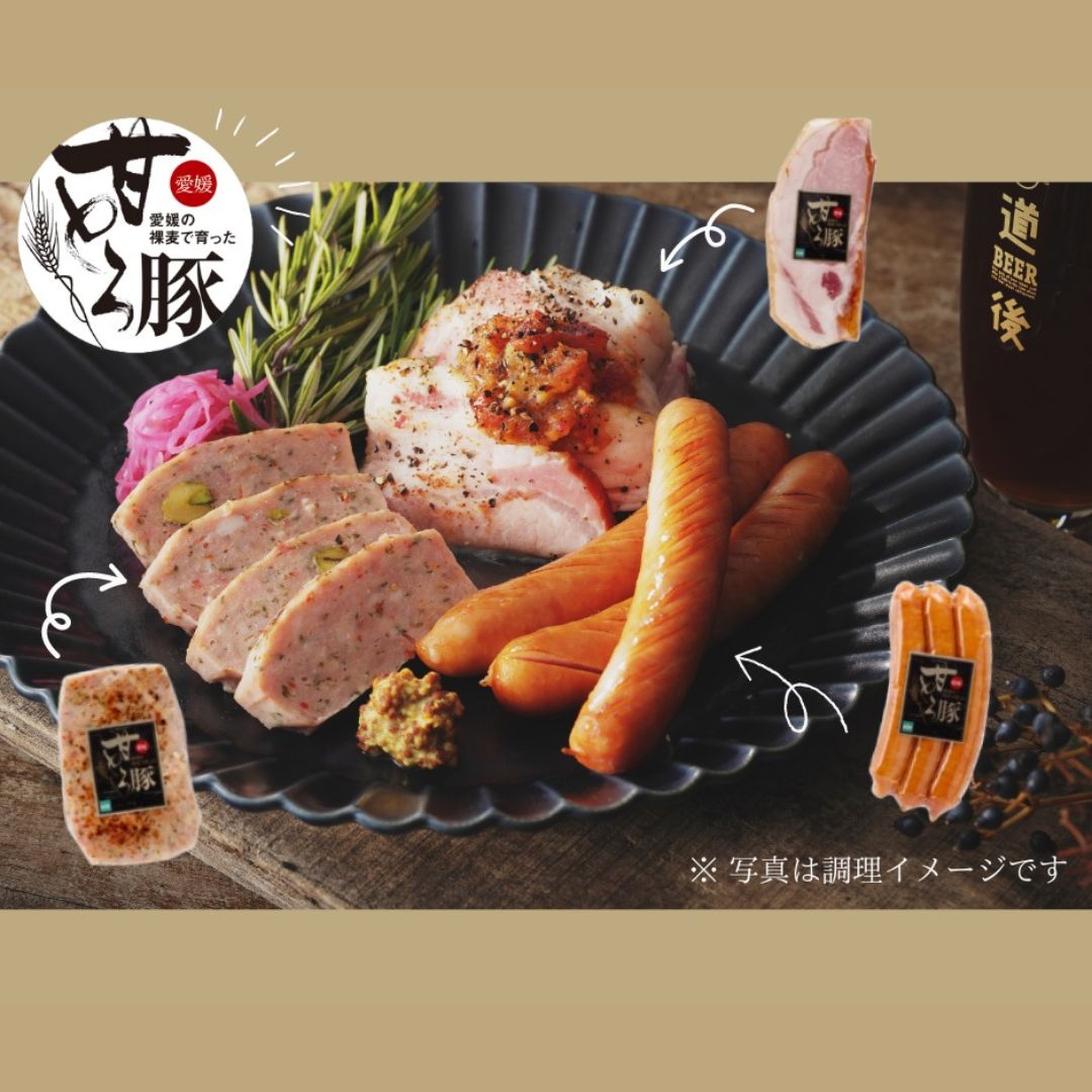 道後ビール・愛媛甘とろ豚セット(DBAP-43) | 47CLUB – 名産・特産品
