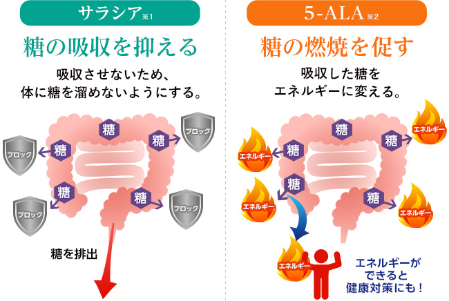 商品一覧ページ