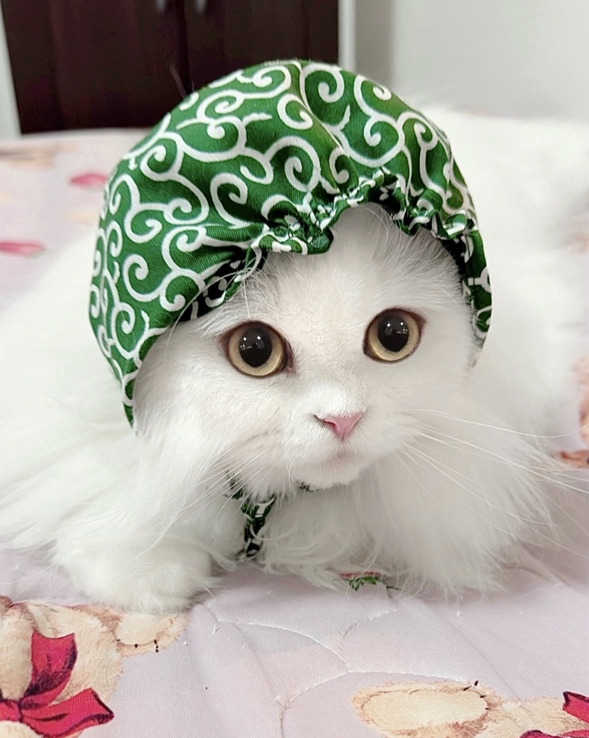 アメリカンショートヘア(シルバータビー) はにえるちゃん | 猫用品専門