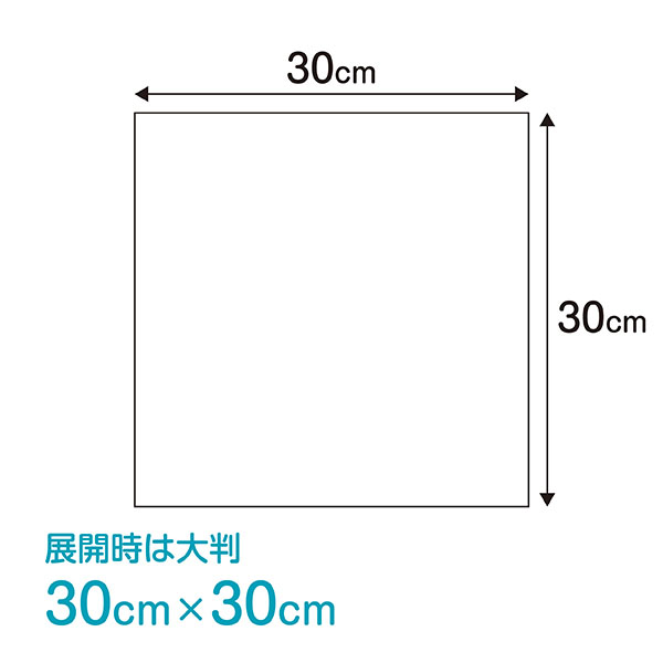 FV-EZ-00061 やわらかディスポタオル（ドライタイプ）30-30エンボス