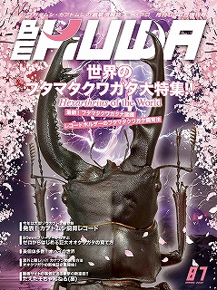 雑誌・本 - クワガタ横丁