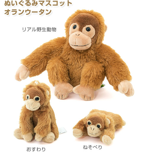 動物 生物 ぬいぐるみマスコット おすわり オランウータン