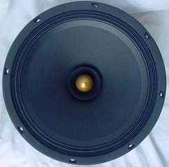 Audio Nirvana, Lowther Full Range DIY Speakers and EL84 Tube