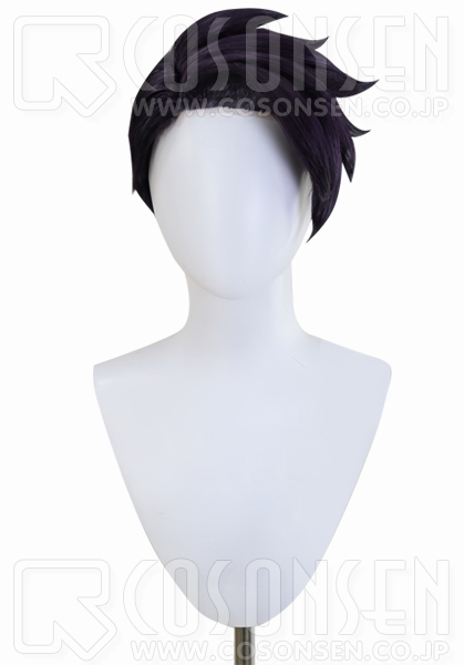 ポケモンZA カラスバ コスプレウィッグ