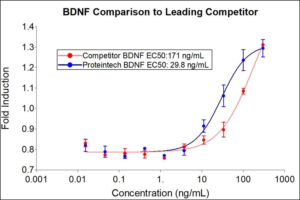 ヒト BDNF タンパク質 | 活性に優れた Humankine® 細胞培養や分化培地