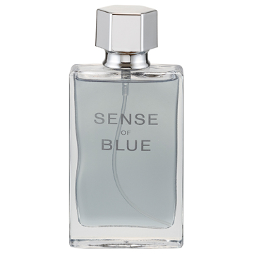 ビーアイアイ センスオブブルー オードトワレ / BII(香水, 香水・ヘア
