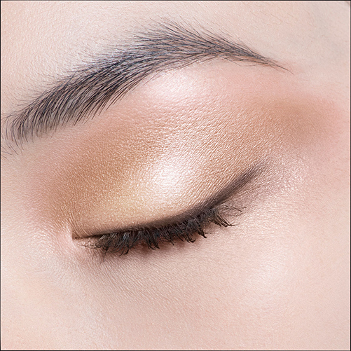 ディオールショウ サンク クルール / ディオール(パウダーアイシャドウ