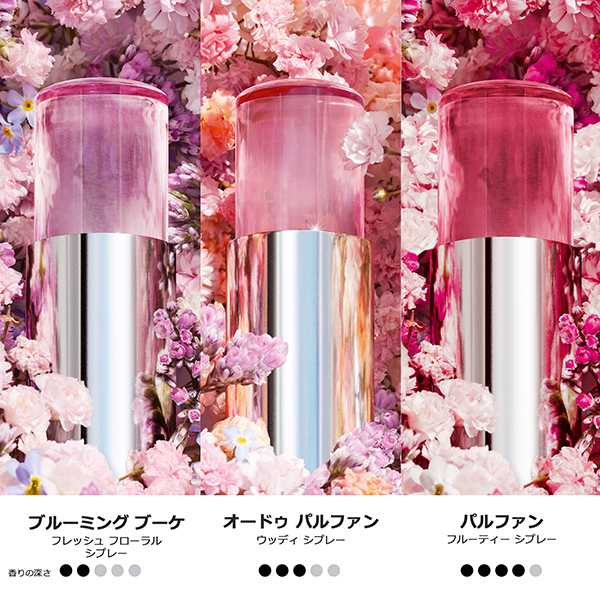 ミス ディオール ブルーミング ブーケ ミニ ミス / ディオール(香水