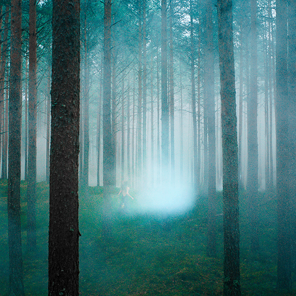 レプリカ オードパルファン ソウル オブ ザ フォレスト / Maison