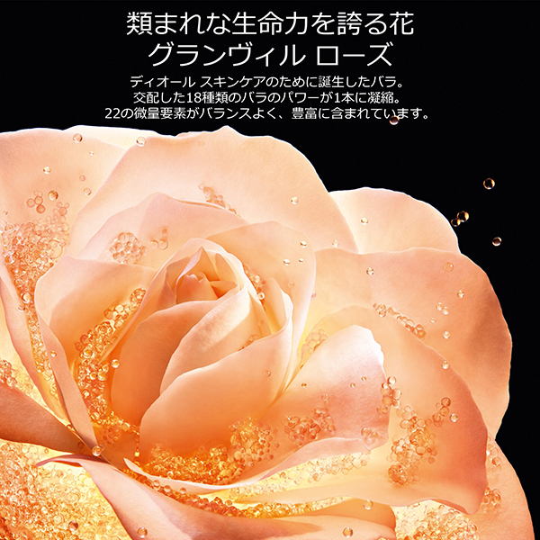 プレステージ ル マイクロ フルイド タン / ディオール(リキッド