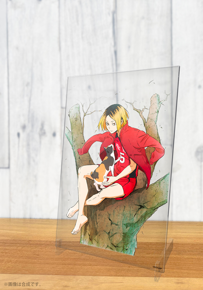 孤爪研磨 B2タペストリー Ver.1.0 [ハイキュー!!] | 公式キャラクター