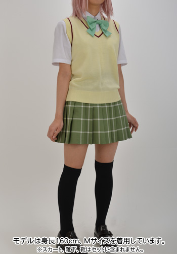 彩南高校女子制服 ニットベスト＆リボンセット [To LOVEる-とらぶる