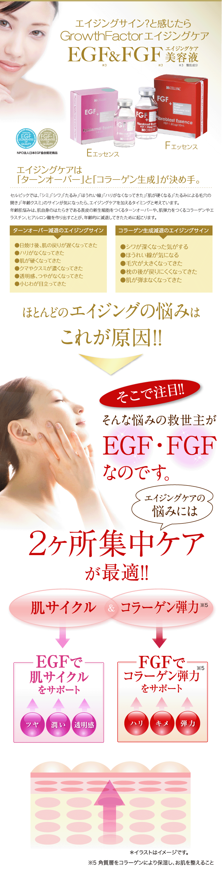 2ヶ所集中エイジングケア】 EGF・FGF特別セット|すっぴん美肌を