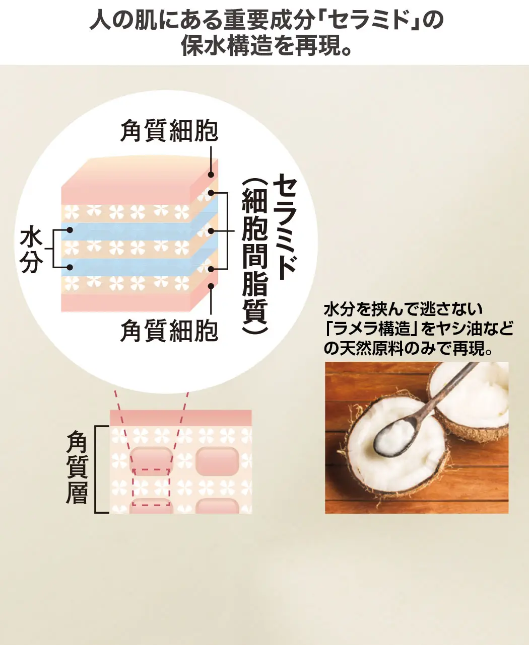 通販生活®肌型セラミド保湿ローション『潤みど水』｜【公式】カタログ