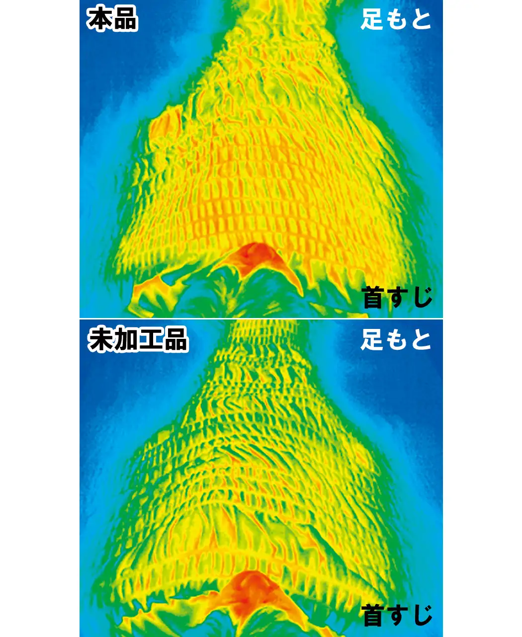 通販生活®ヒートコットンケット｜【公式】カタログハウスの通販サイト