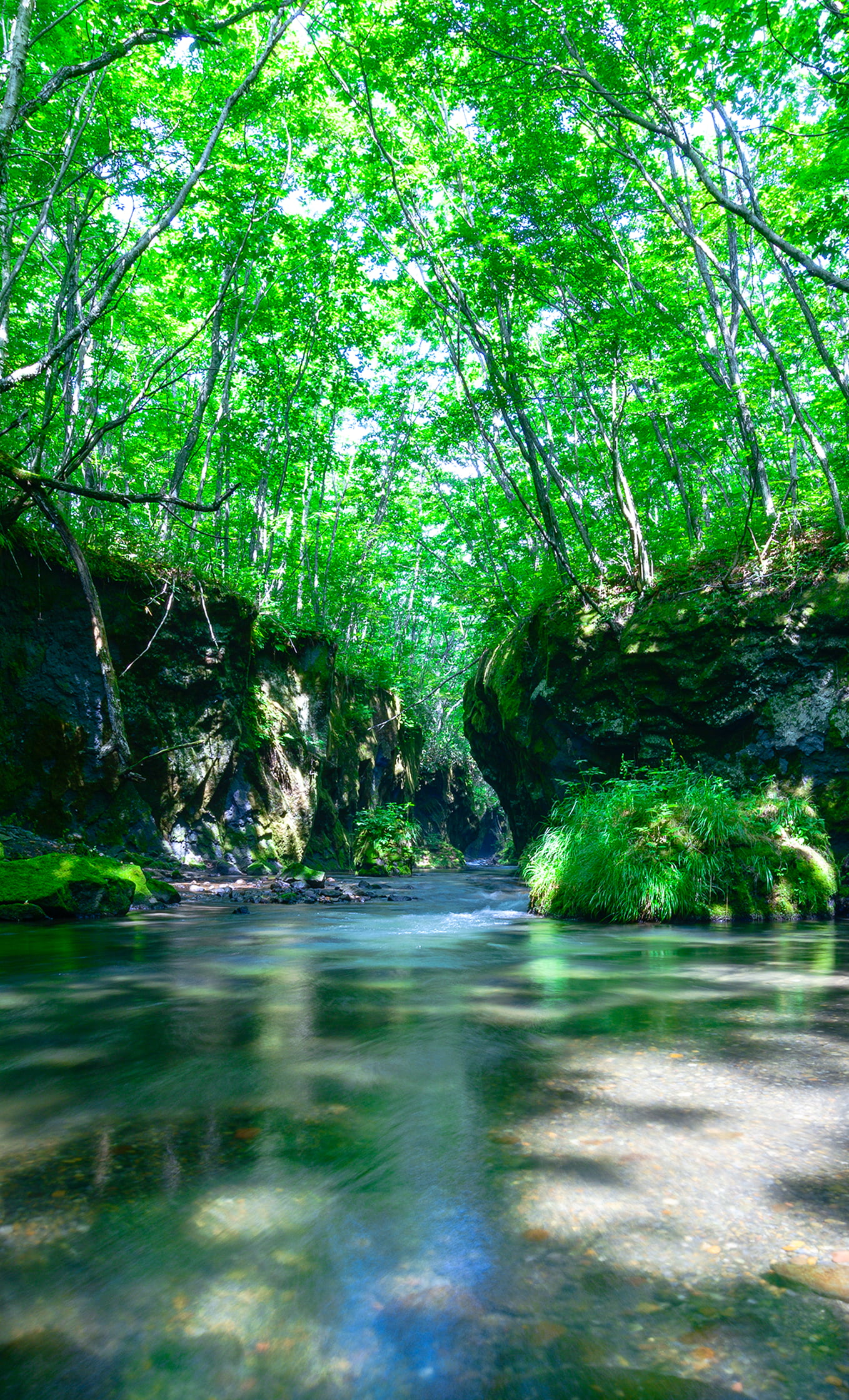 公式】株式会社CAC | 株式会社CACの公式ホームページ