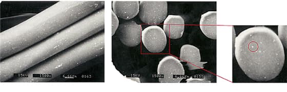 プウアボーテ プレケット - Caddireat Innovation キャデリート
