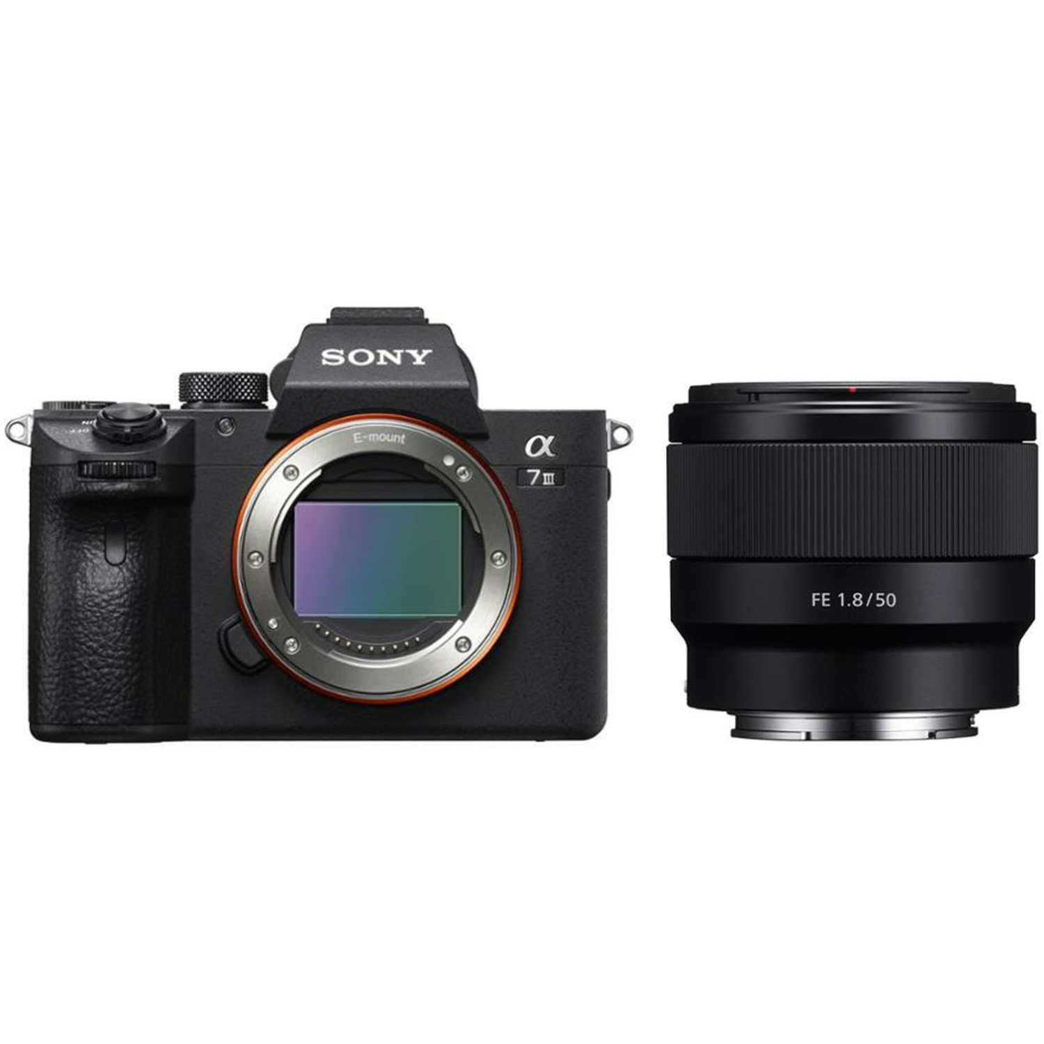 Sony Alpha 7 III mit FE 50mm F1.8 online bestellen - Sony Kamera