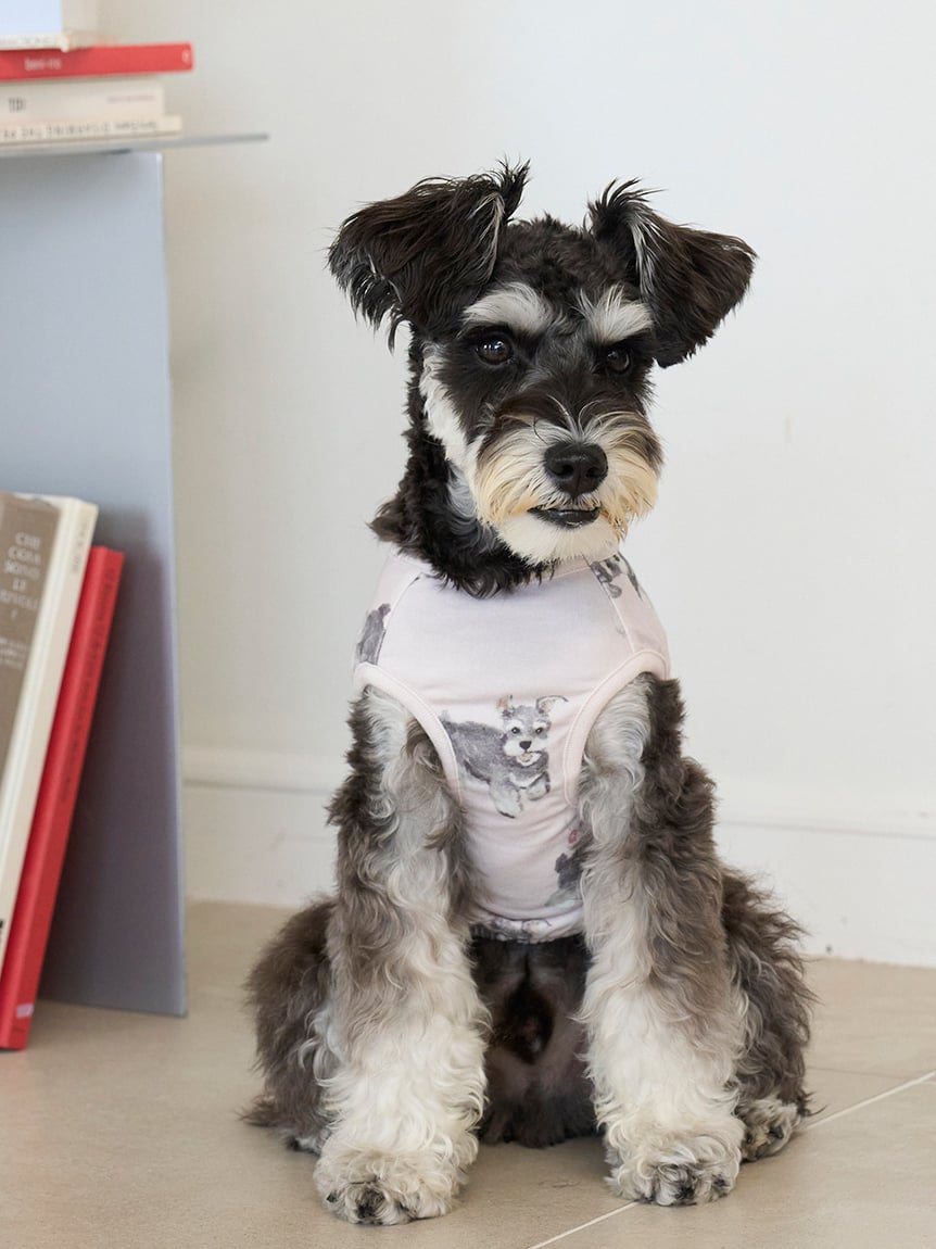 gelato pique（ジェラートピケ）【CAT&DOG】【販路限定商品