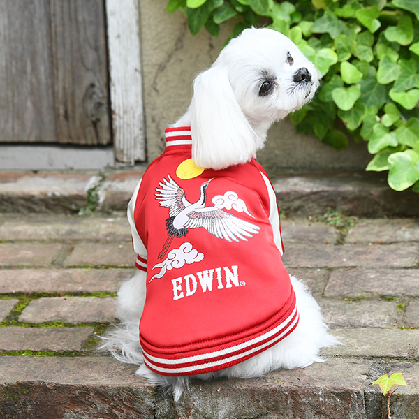 EDWIN（ エドウィン）スカジャン風ジャケット | 犬服・ドックウェア