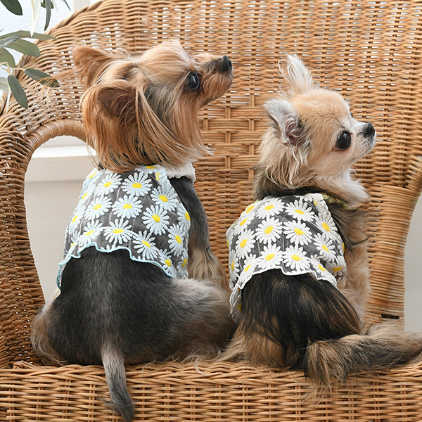 ROPE PICNIC（ロペピクニック）フラワーキャミ（ショート丈） | 犬服