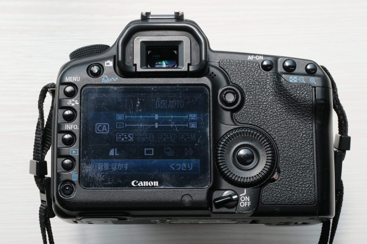 14年前のデジカメで写真を撮ってみた【EOS 5D Mark II】