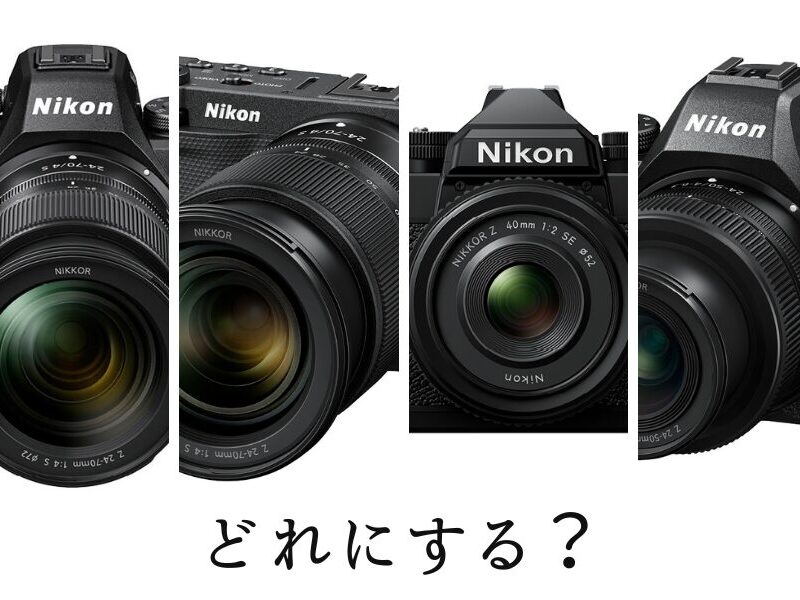 ニコンAF-S DX NIKKOR 55-300mm f/4.5-5.6G ED VRを試写しました